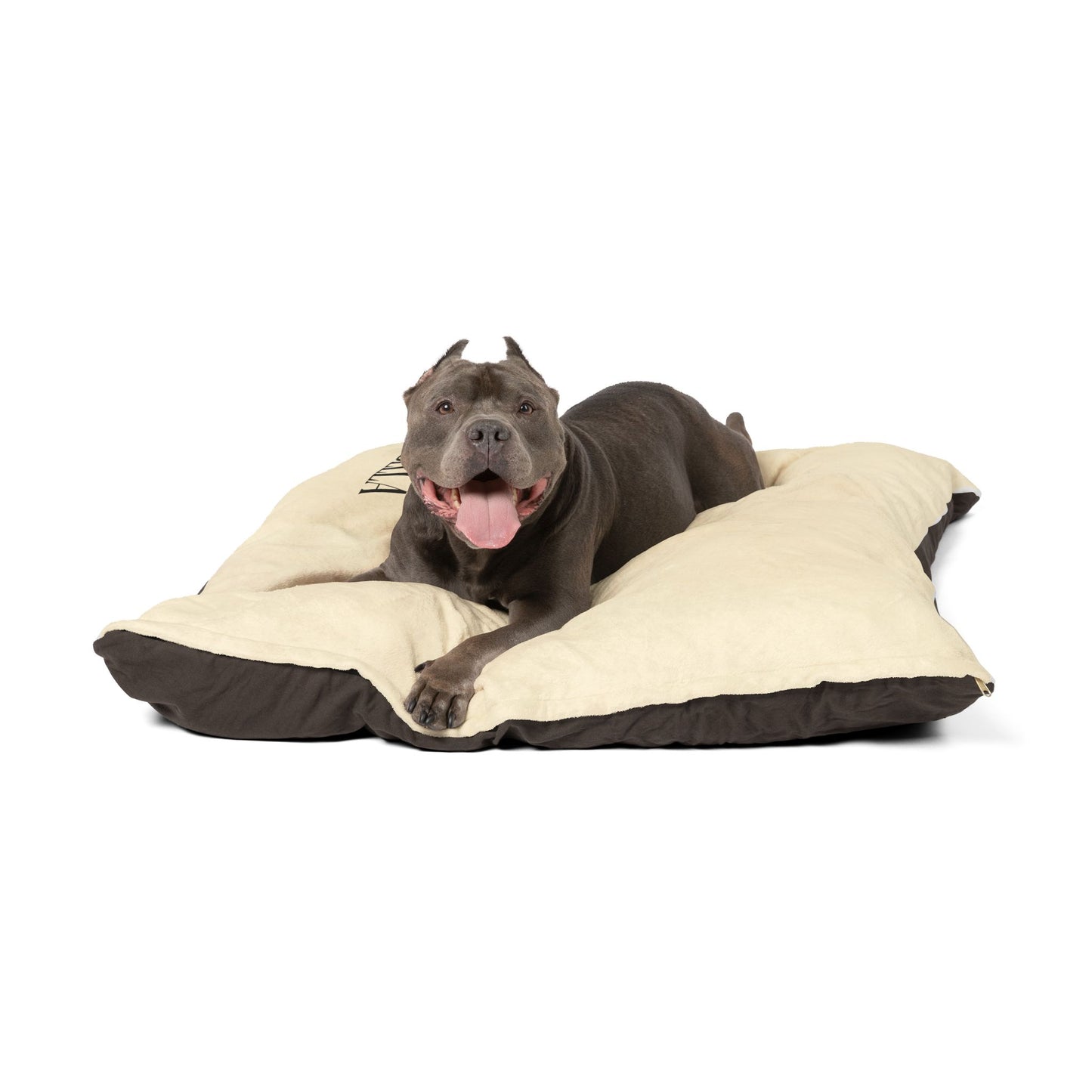 The PawVORO Signature Name Bed